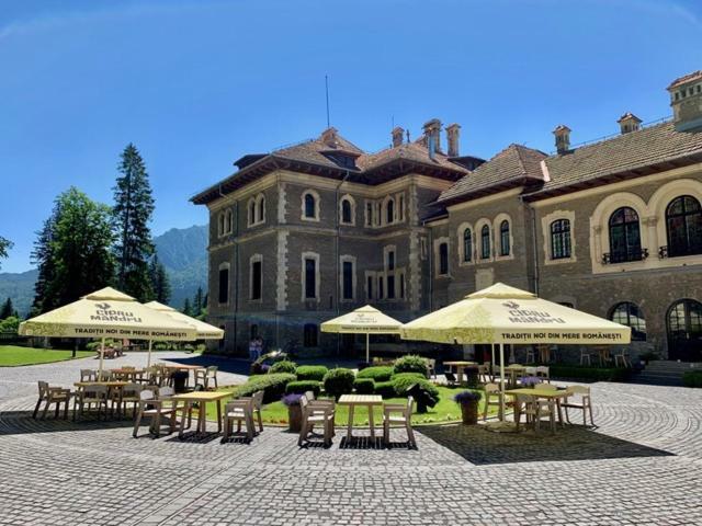 Castelul Cantacuzino บุชเตนี ภายนอก รูปภาพ